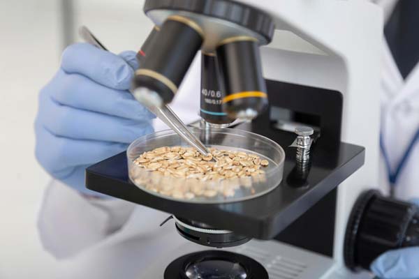 proisal-soluciones-alimenticias-ecuador-laboratorios1